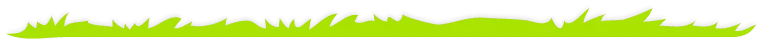 Background grass input