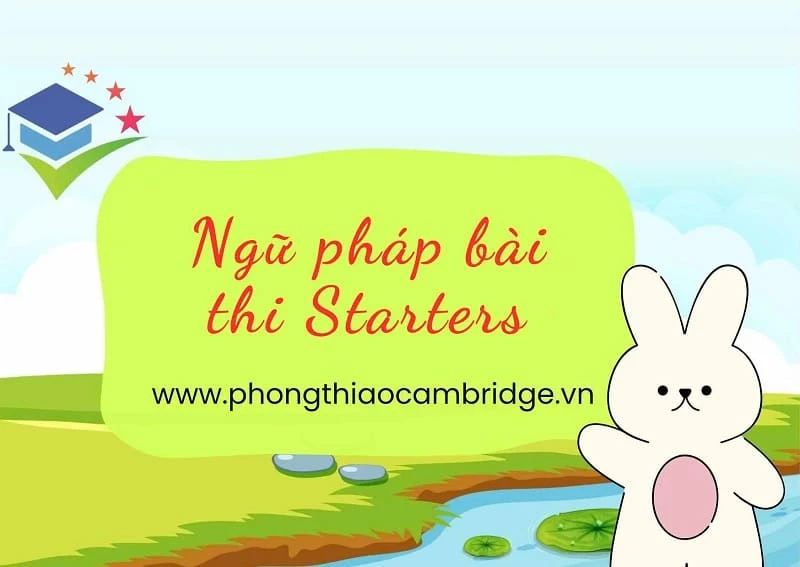 200+ ngữ pháp Starters Cambridge quan trọng giúp bé học tốt tiếng Anh